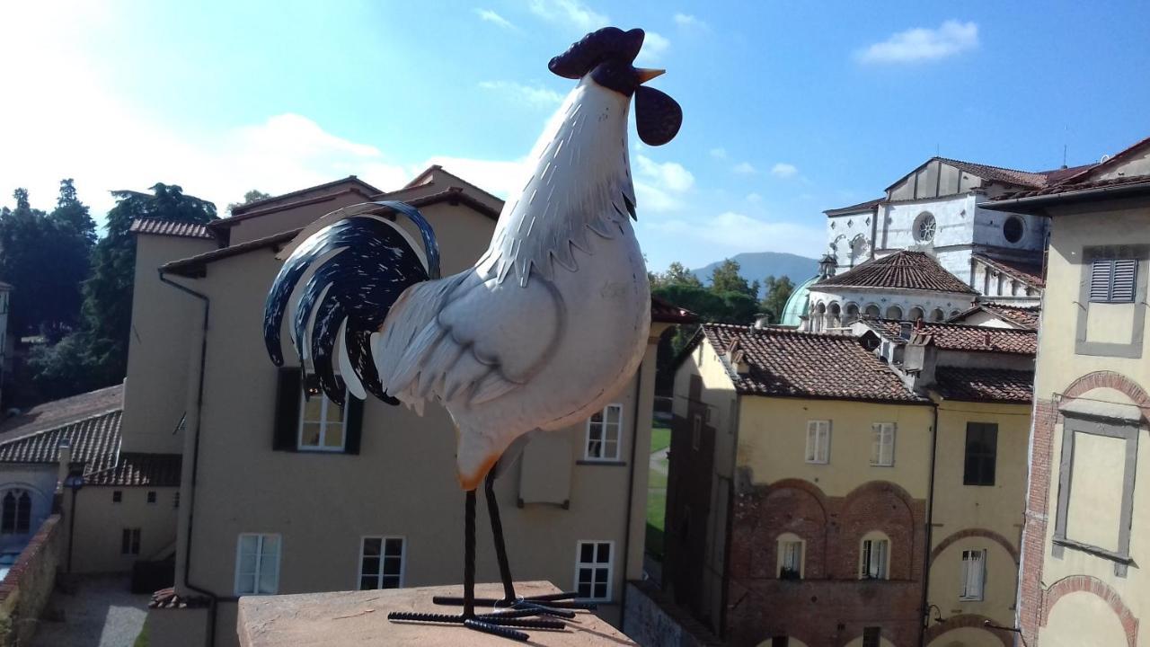 Terrazza Coccode' Spazioso Con Vista Mozzafiato! ลุคคา ภายนอก รูปภาพ