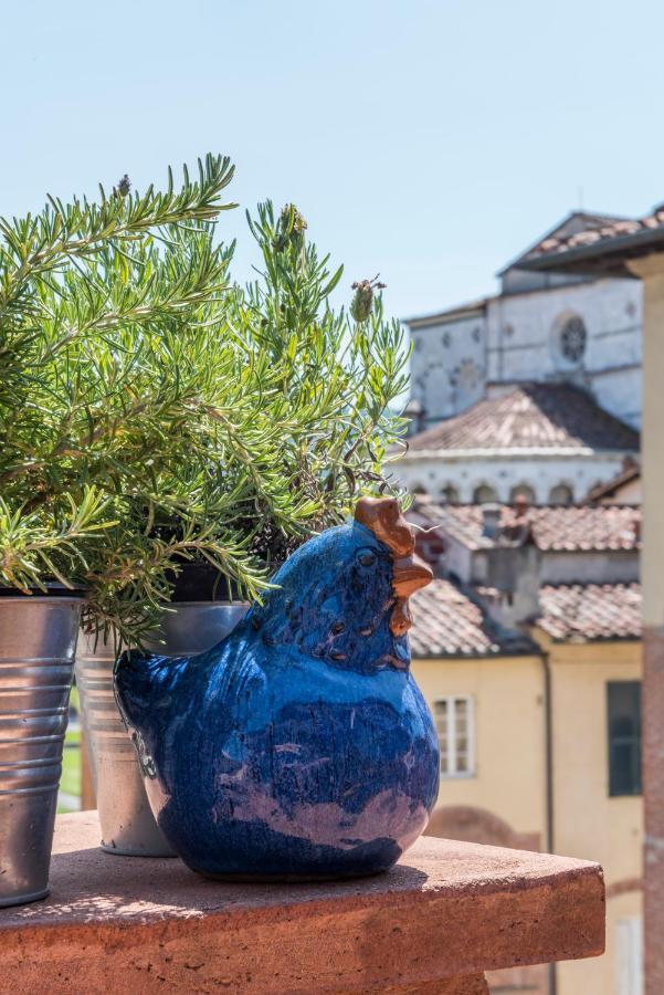 Terrazza Coccode' Spazioso Con Vista Mozzafiato! ลุคคา ภายนอก รูปภาพ