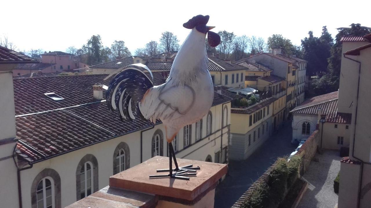 Terrazza Coccode' Spazioso Con Vista Mozzafiato! ลุคคา ภายนอก รูปภาพ
